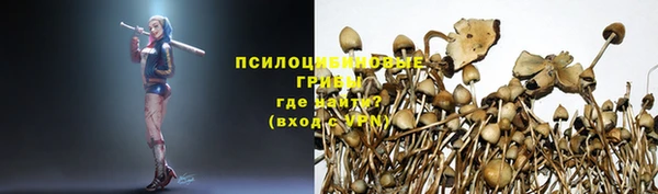 2c-b Алексин
