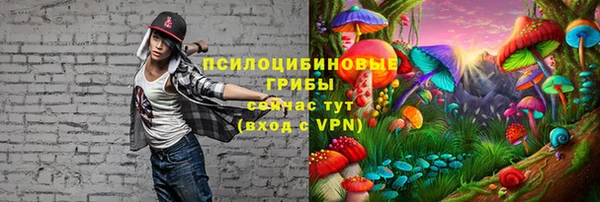 2c-b Алексин