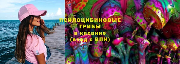 2c-b Алексин