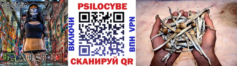 Псилоцибиновые грибы Magic Shrooms  Игарка 